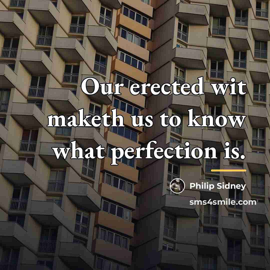“Our erected wit maketh us to know what perfection is.…” quote by Philip Sidney