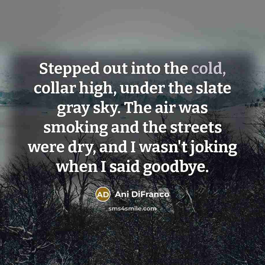 “Stepped out into the cold, collar high, under the slate…” quote by Ani DiFranco