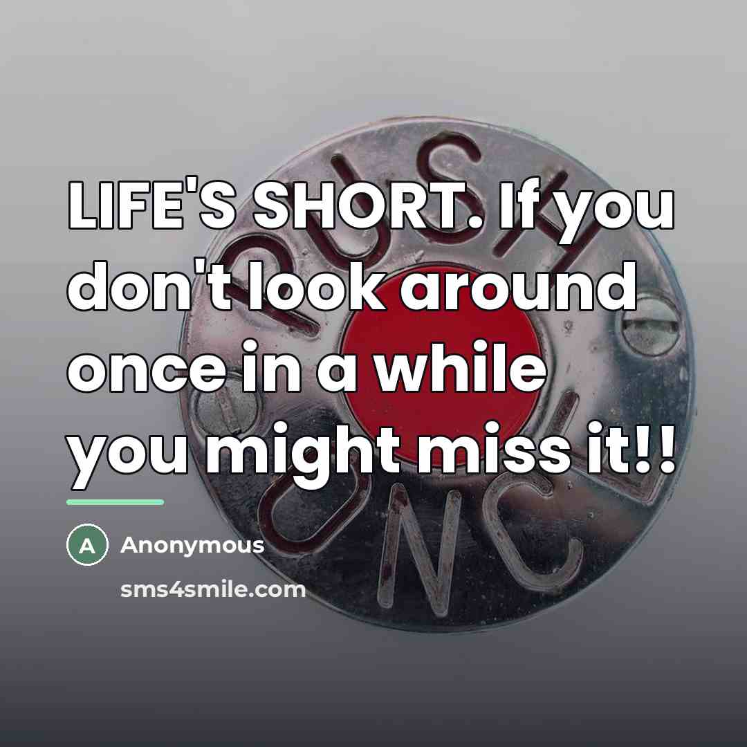 “LIFE'S SHORT. If you don't look around once in a…” quote by Hashem