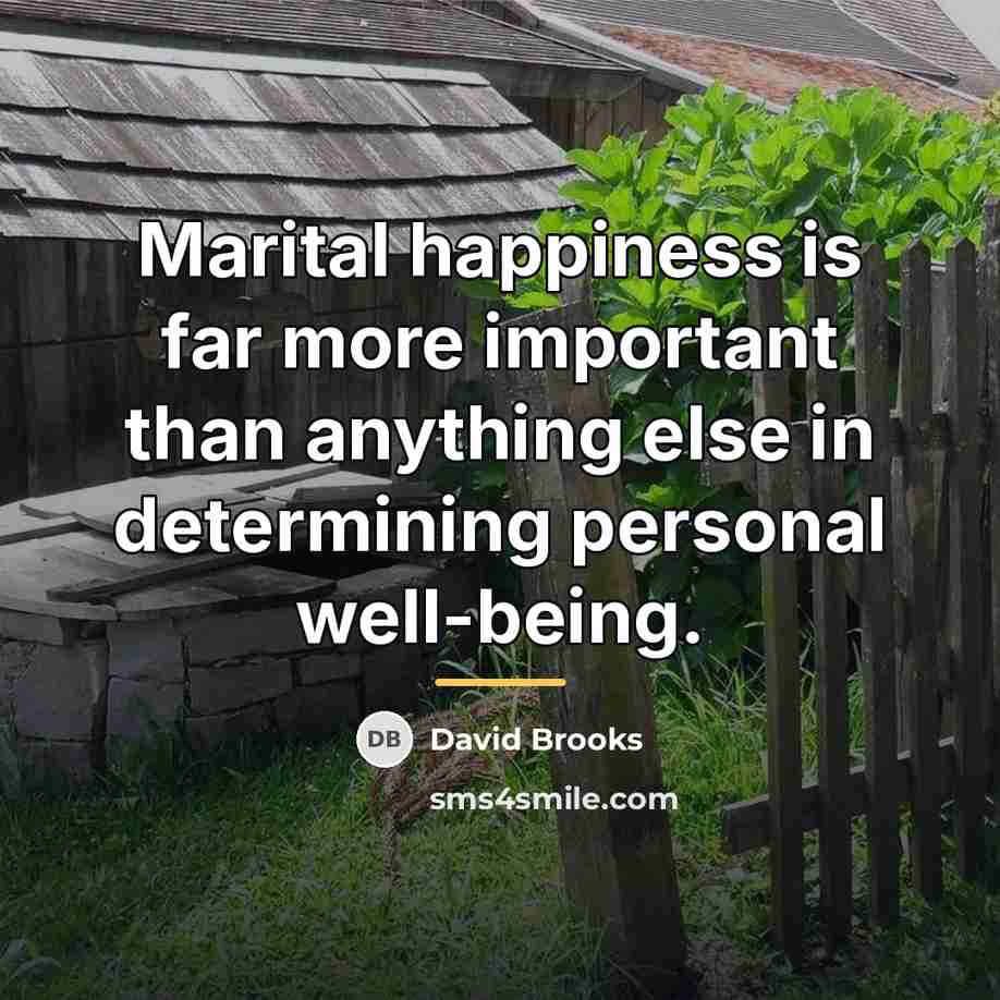 “Marital happiness is far more important than anything else in…” quote by David Brooks