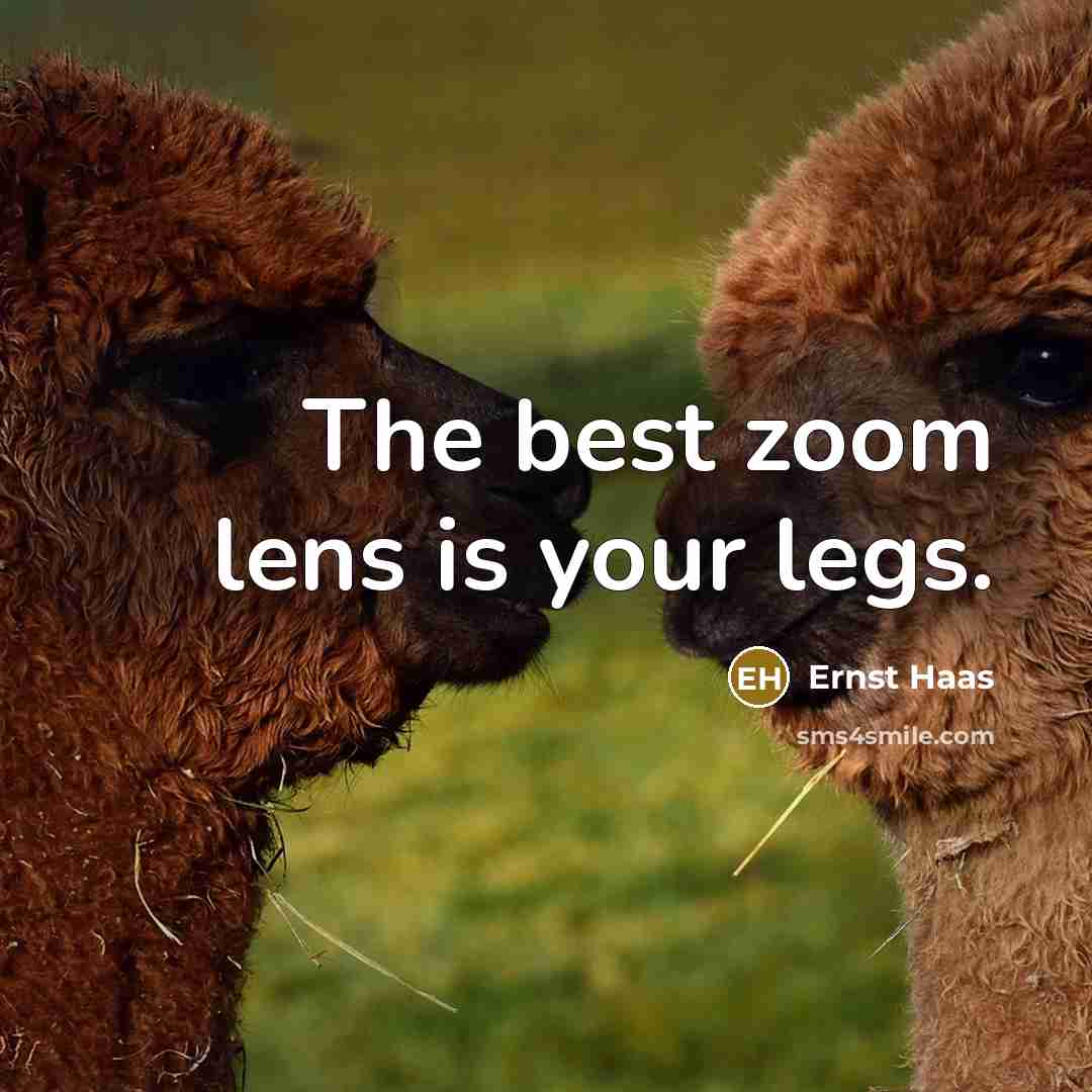 “The best zoom lens is your legs.…” quote by Ernst Haas