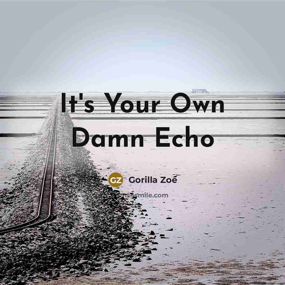 “It's Your Own Damn Echo…” quote by Gorilla Zoe