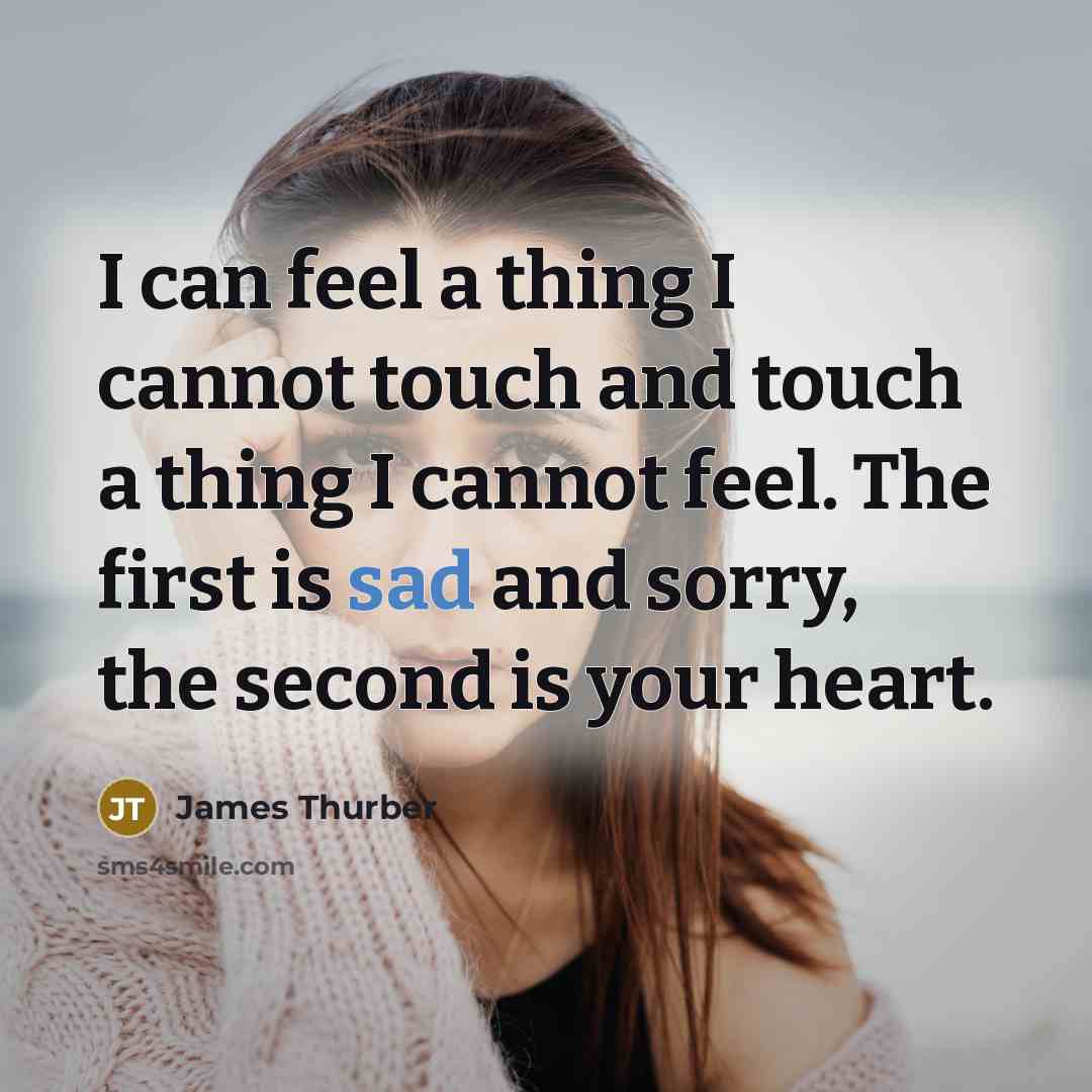 “I can feel a thing I cannot touch and touch a thing I cannot feel. The first is sad and sorry, the second is your heart.” quote by James Thurber
