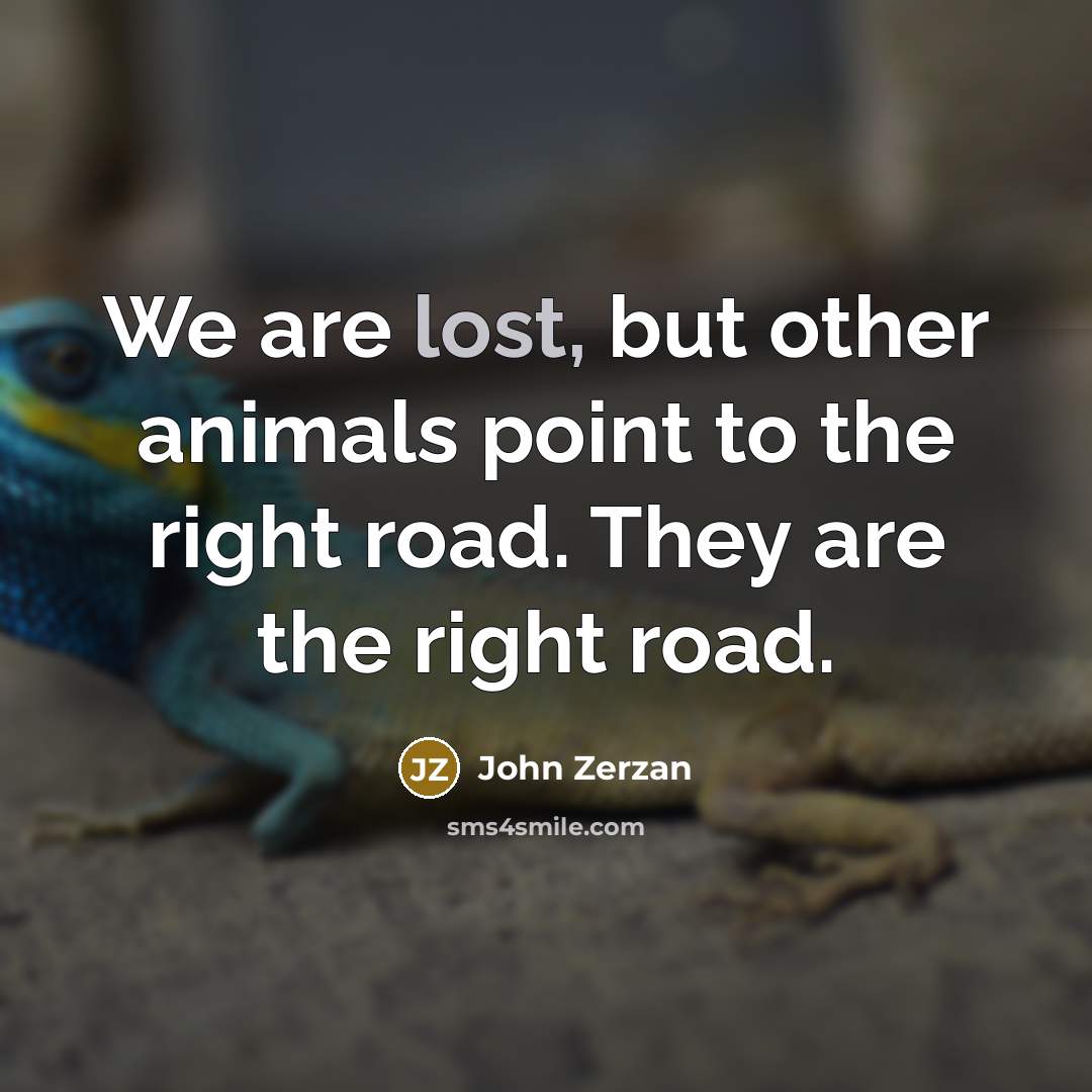 “We are lost, but other animals point to the right…” quote by John Zerzan