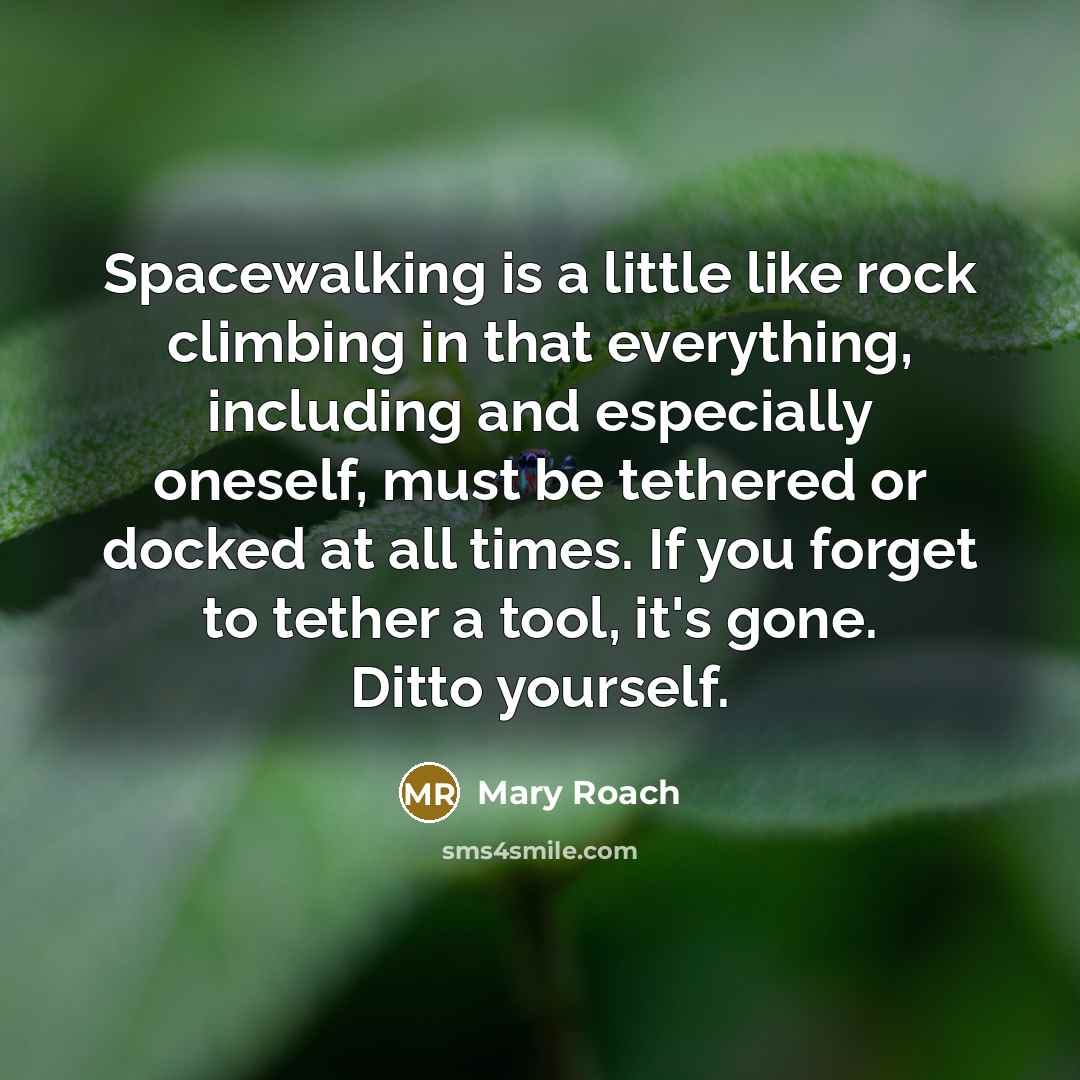 “Spacewalking is a little like rock climbing in that everything,…” quote by Mary Roach