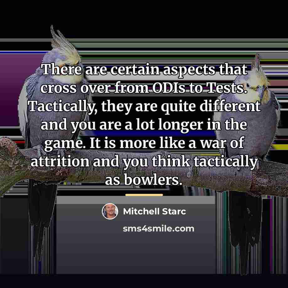 “There are certain aspects that cross over from ODIs to…” quote by Mitchell Starc