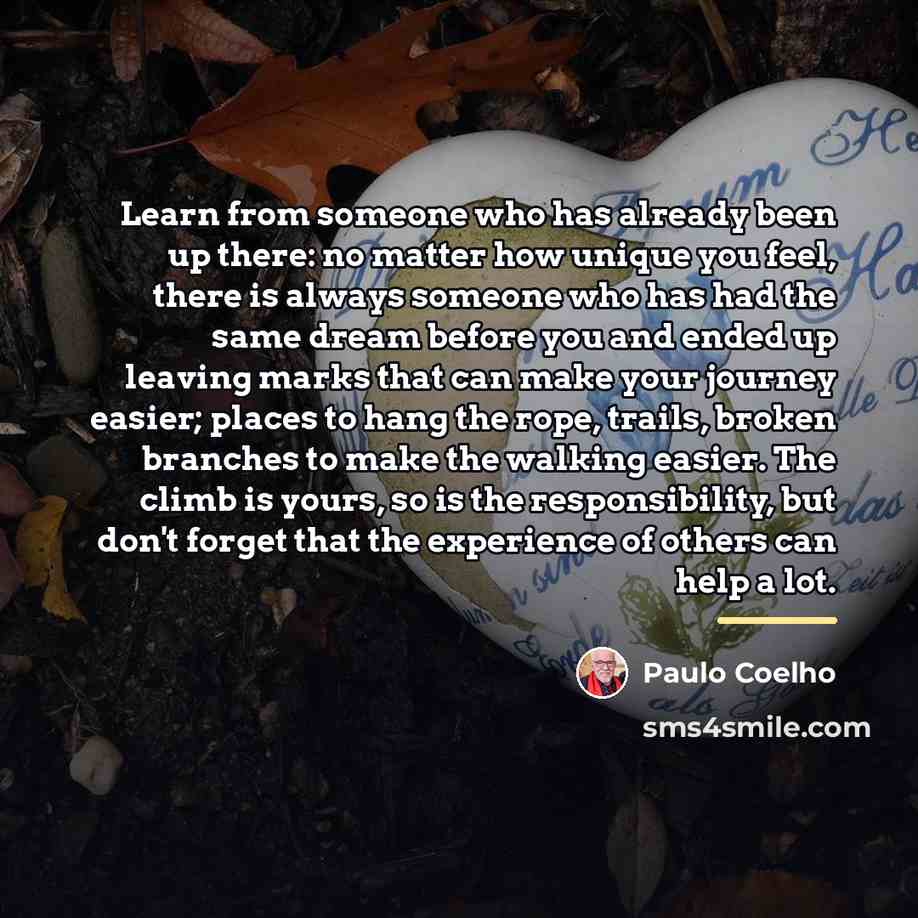 “Learn from someone who has already been up there: no…” quote by Paulo Coelho