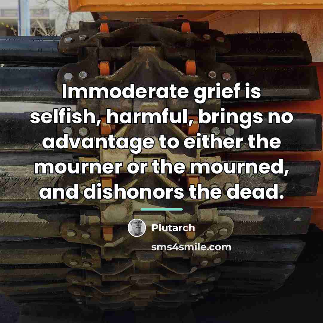 “Immoderate grief is selfish, harmful, brings no advantage to either…” quote by Plutarch