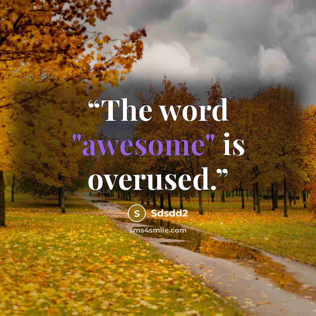 “The word "awesome" is overused.” quote by Sdsdd2