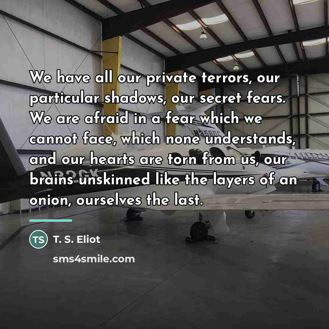 “We have all our private terrors, our particular shadows, our…” quote by T. S. Eliot