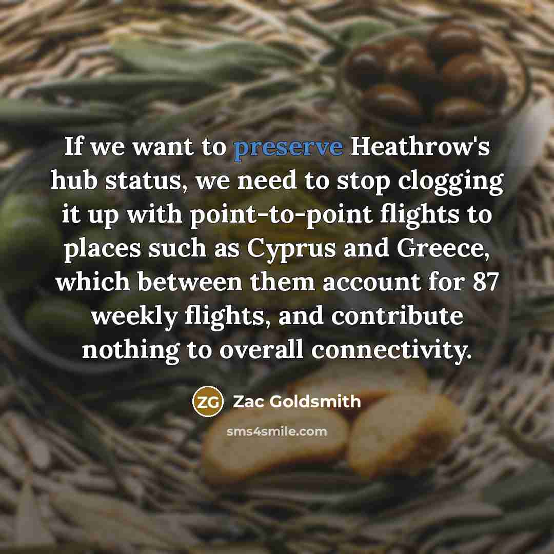 “If we want to preserve Heathrow's hub status, we need…” quote by Zac Goldsmith