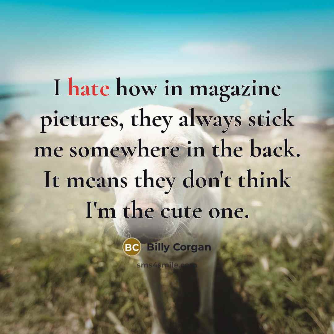 “I hate how in magazine pictures, they always stick me…” quote by Billy Corgan