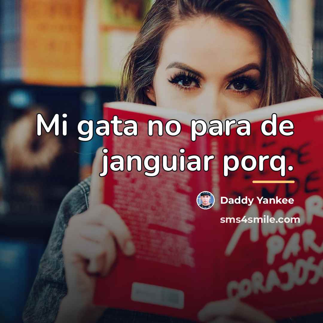 “Mi gata no para de janguiar porq.…” quote by Daddy Yankee