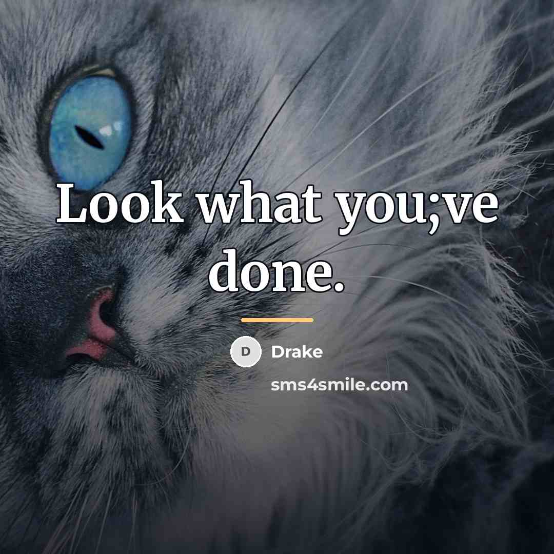 “Look what you;ve done.…” quote by Drake