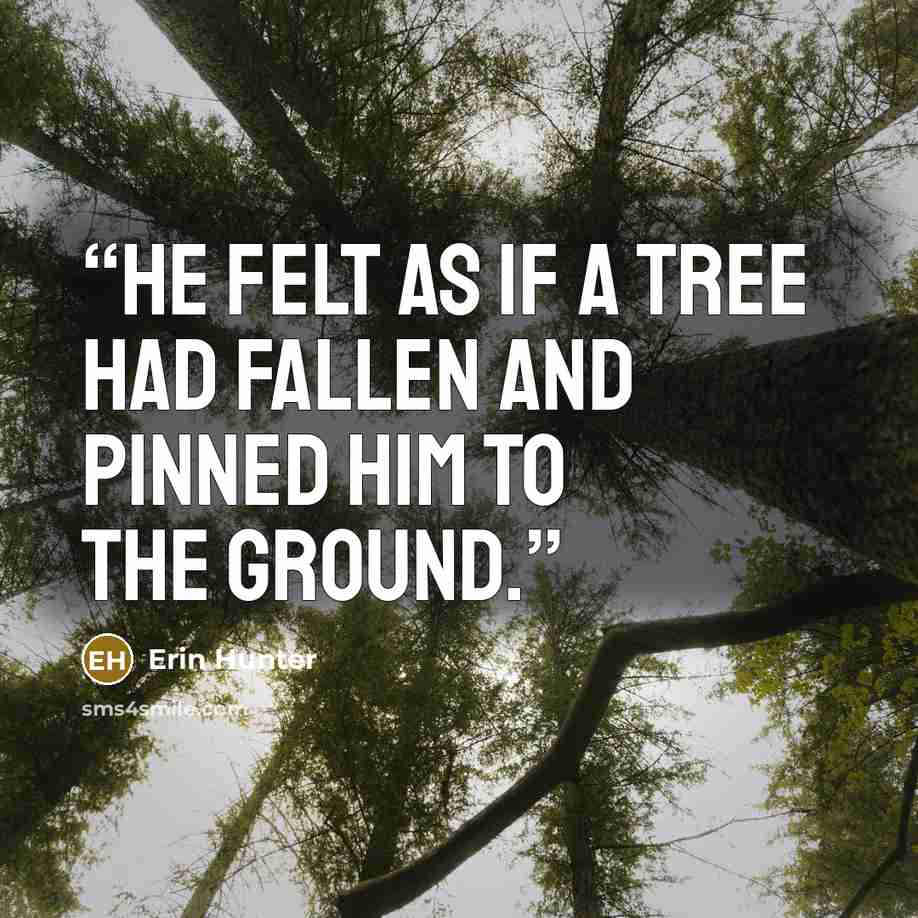 “he felt as if a tree had fallen and pinned him to the ground.” quote by Erin Hunter