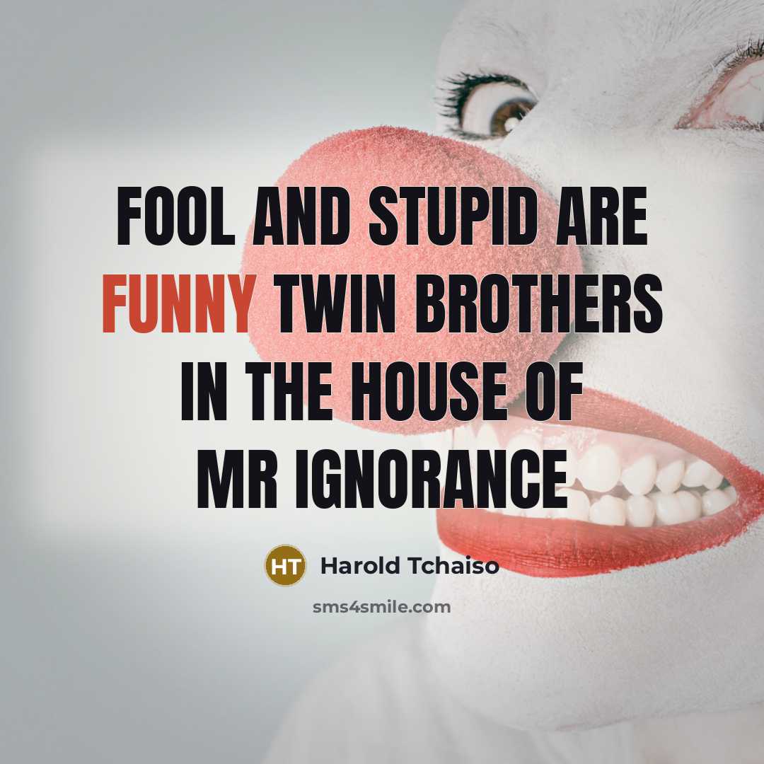 “Fool and Stupid are funny twin brothers in the house…” quote by Harold Tchaiso