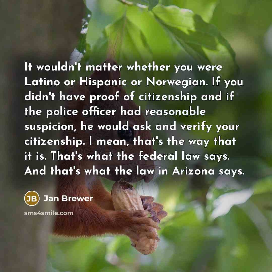 “It wouldn't matter whether you were Latino or Hispanic or…” quote by Jan Brewer