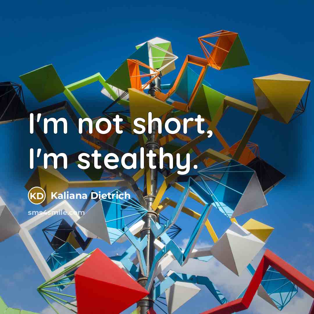 “I'm not short, I'm stealthy.…” quote by Kaliana Dietrich