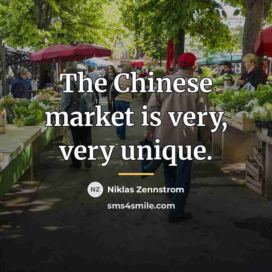 “The Chinese market is very, very unique.…” quote by Niklas Zennstrom