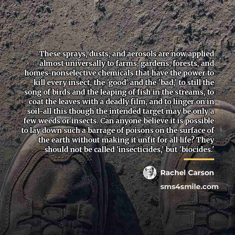 “These sprays, dusts, and aerosols are now applied almost universally…” quote by Rachel Carson