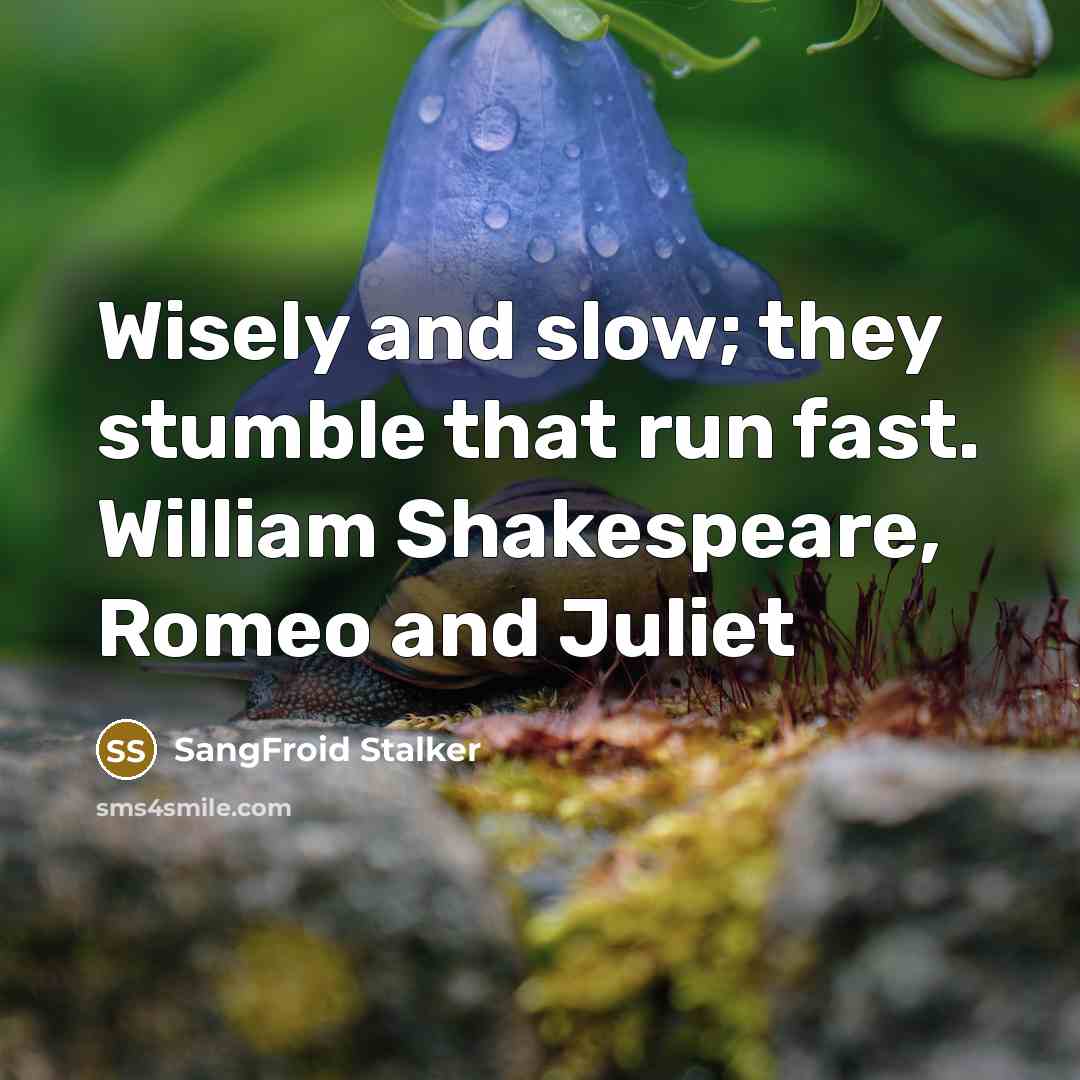 “Wisely and slow; they stumble that run fast. William Shakespeare,…” quote by SangFroid Stalker