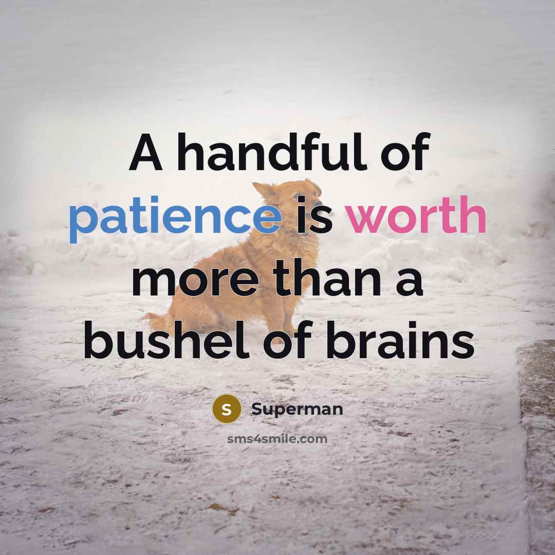 “A handful of patience is worth more than a bushel…” quote by Superman