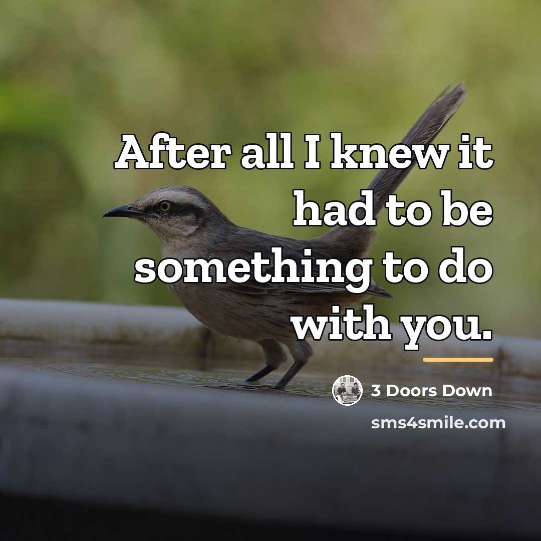 “After all I knew it had to be something to…” quote by 3 Doors Down