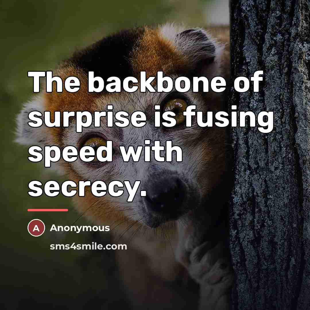 “The backbone of surprise is fusing speed with secrecy.…” quote by Anonymous
