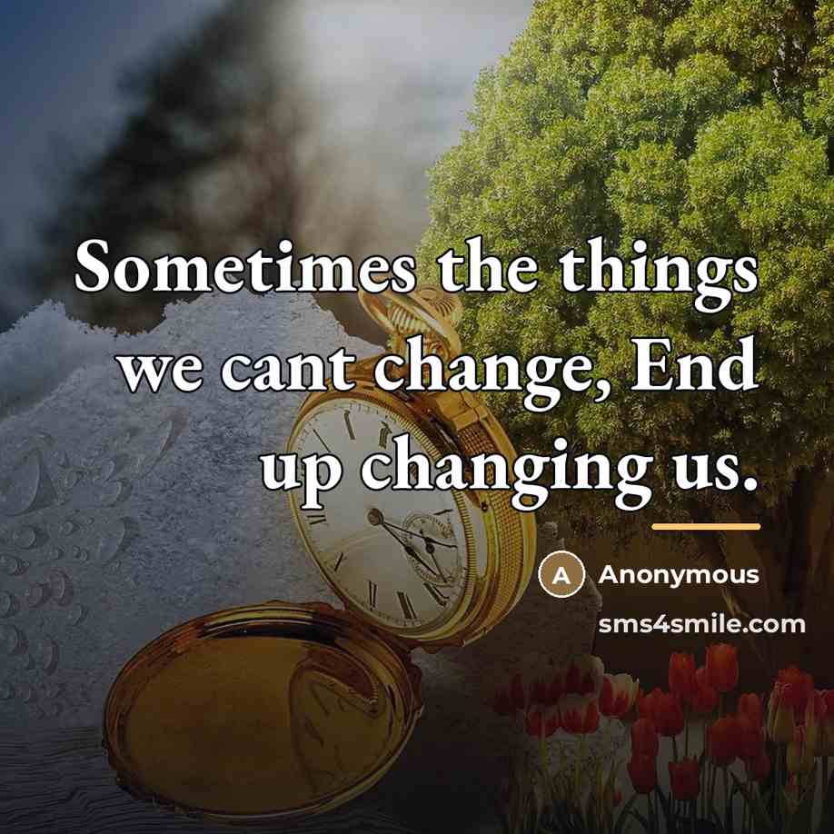 “Sometimes the things we cant change, End up changing us.…” quote by Anonymous