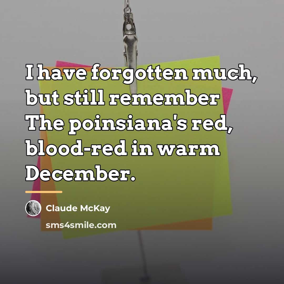 “I have forgotten much, but still remember The poinsiana's red,…” quote by Claude McKay