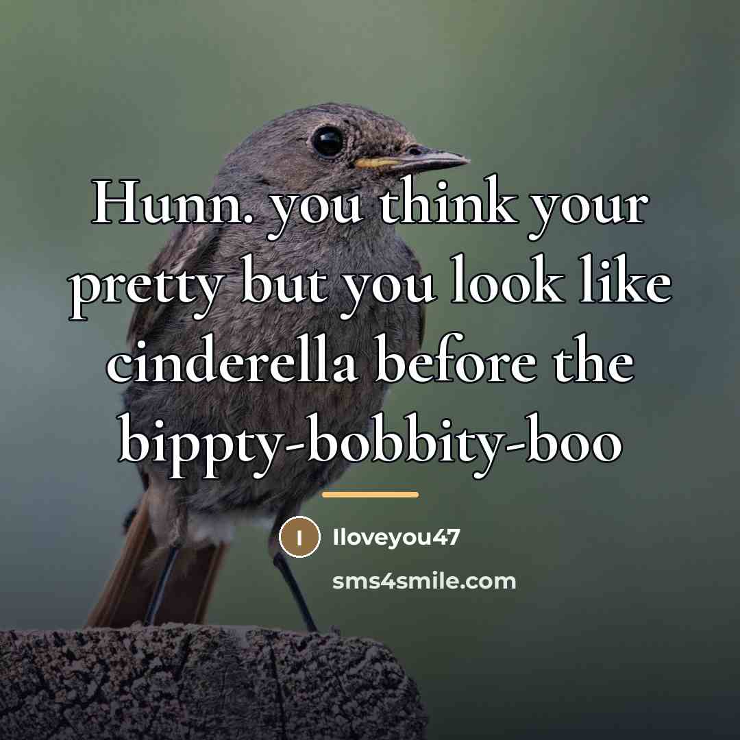 “Hunn. you think your pretty but you look like cinderella…” quote by Iloveyou47