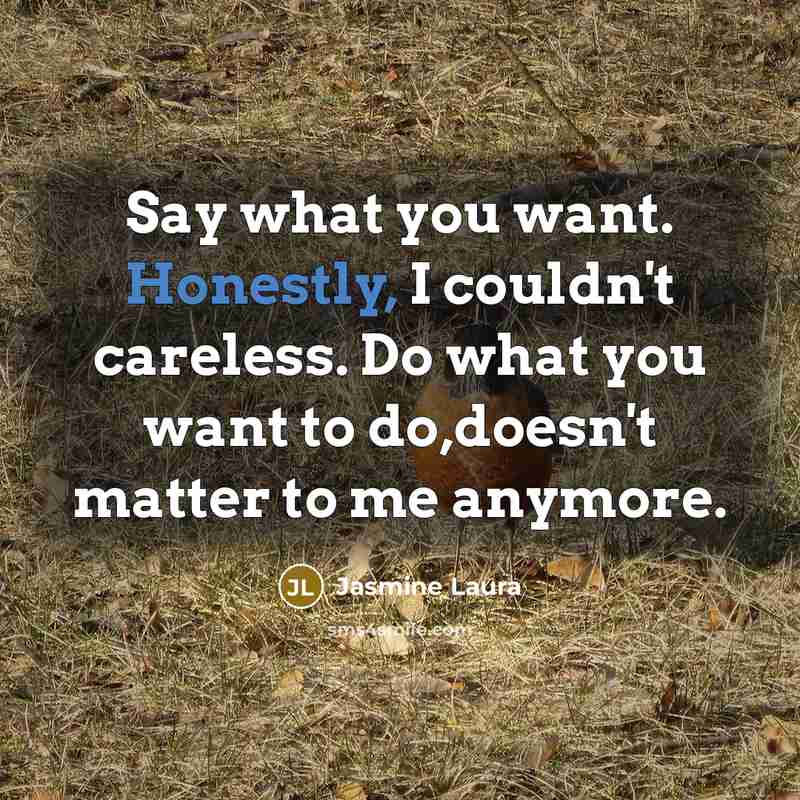 “Say what you want. Honestly, I couldn't careless. Do what you want to do,doesn't matter to me anymore.” quote by Jasmine Laura