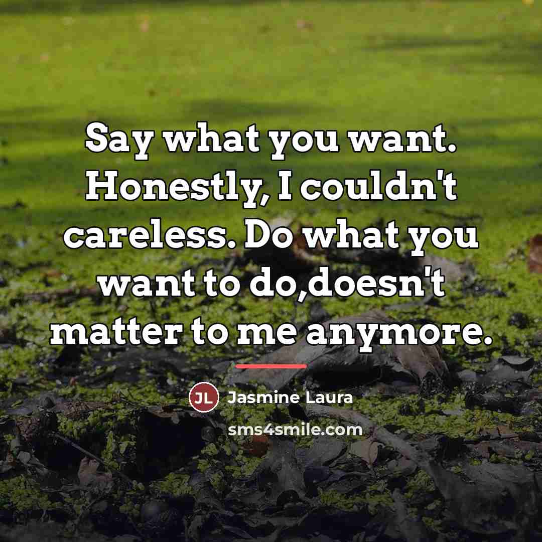“Say what you want. Honestly, I couldn't careless. Do what…” quote by Jasmine Laura