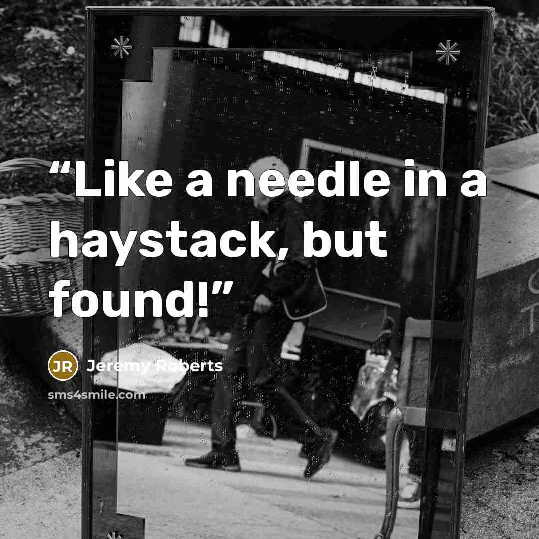 “Like a needle in a haystack, but found!” quote by Jeremy Roberts
