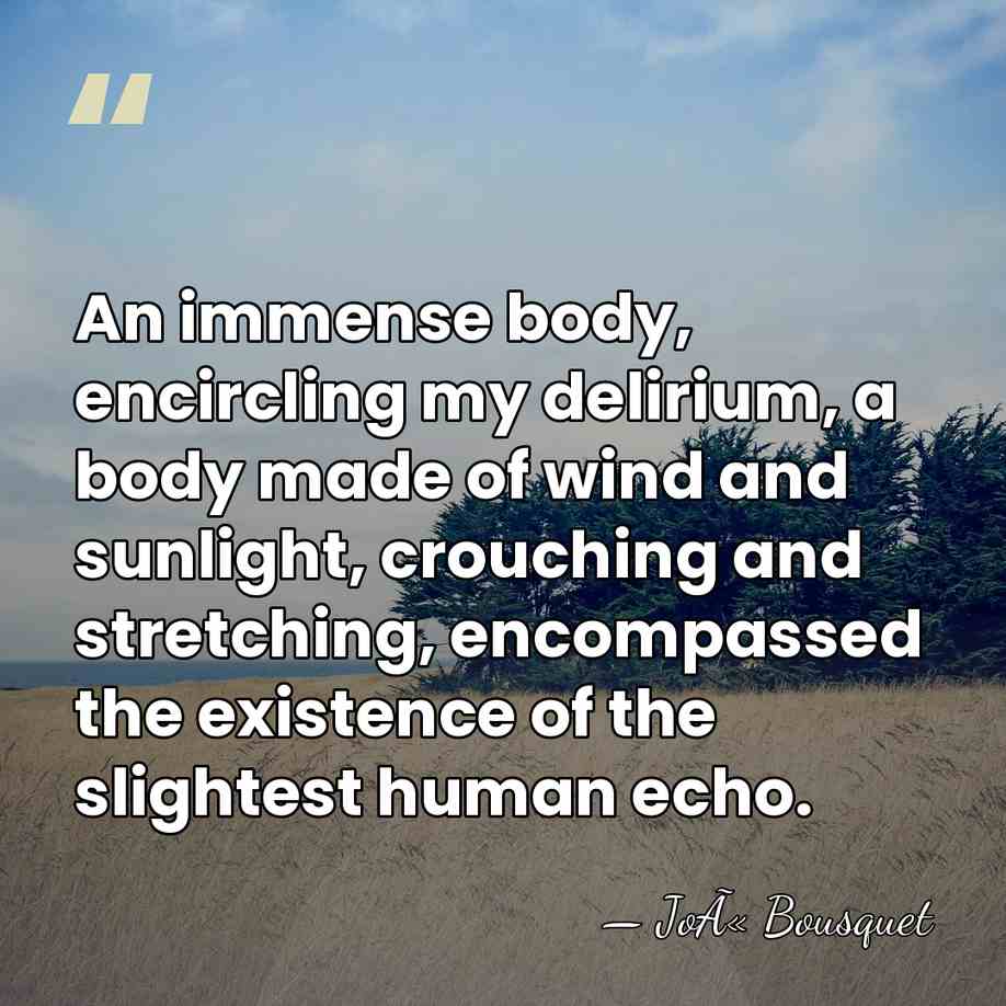 An immense body, encircling my delirium, a body made of wind and&hellip; - JoÃ« Bousquet