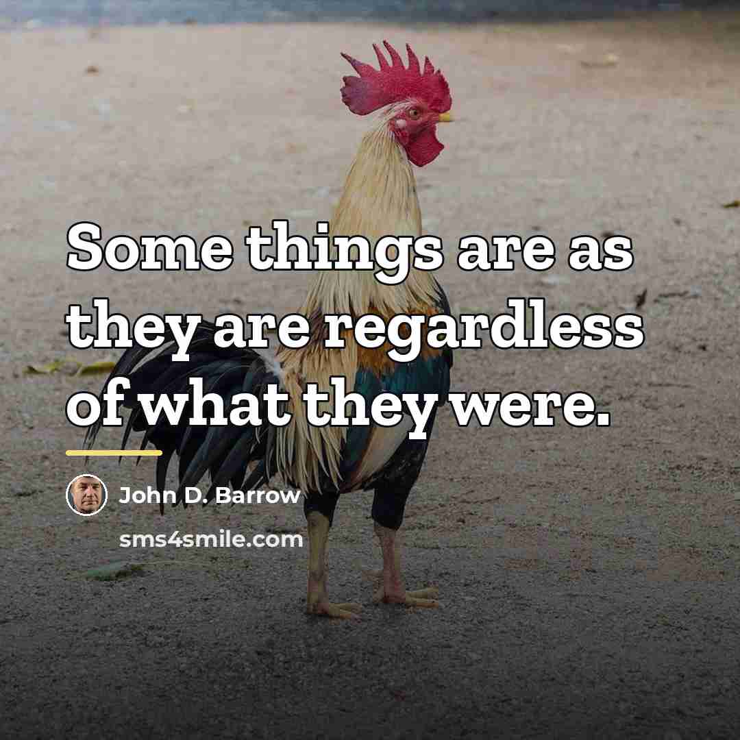 “Some things are as they are regardless of what they…” quote by John D. Barrow