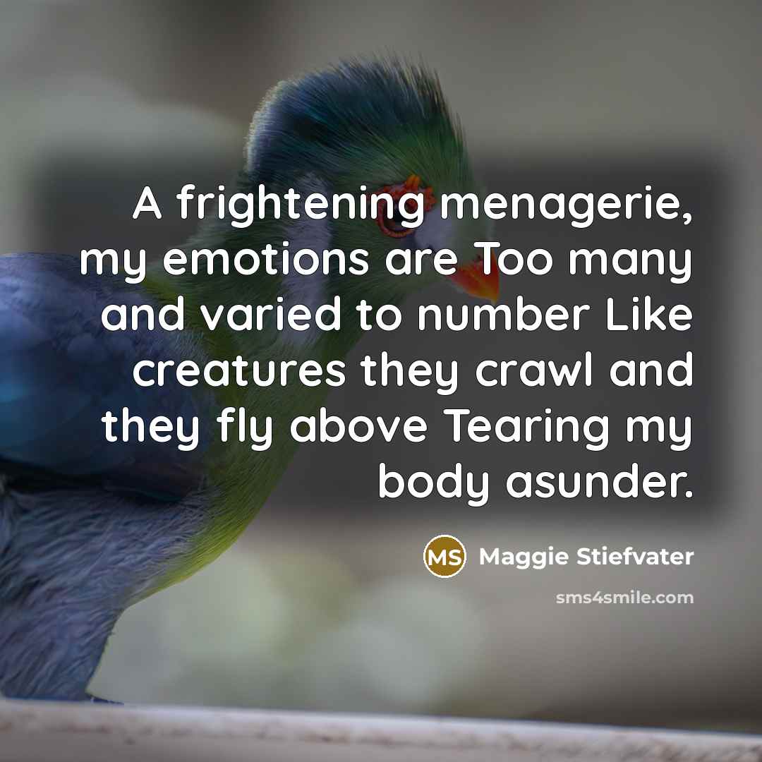 “A frightening menagerie, my emotions are Too many and varied…” quote by Maggie Stiefvater