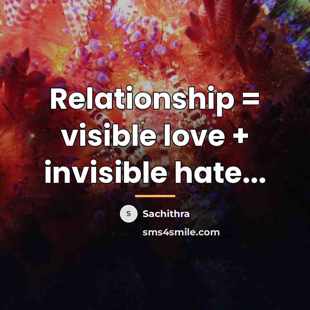 “Relationship = visible love + invisible hate...…” quote by Sachithra