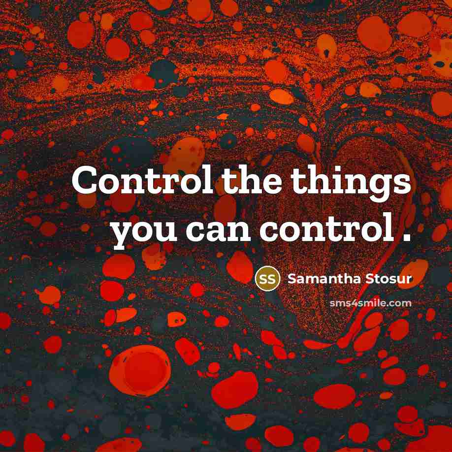 “Control the things you can control .…” quote by Samantha Stosur