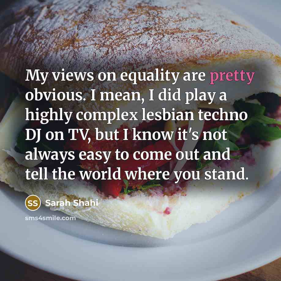 “My views on equality are pretty obvious. I mean, I…” quote by Sarah Shahi