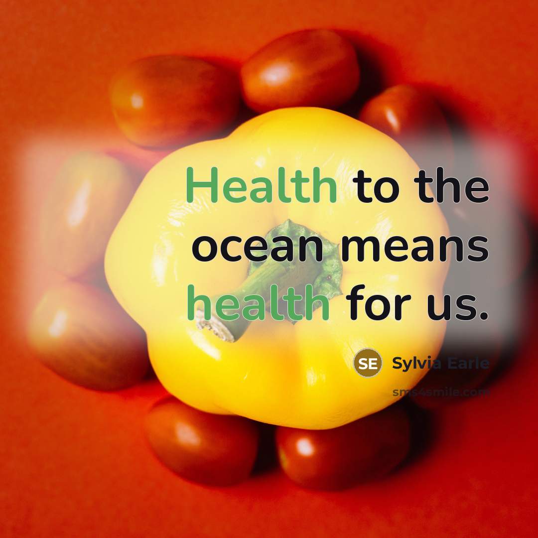 “Health to the ocean means health for us.…” quote by Sylvia Earle