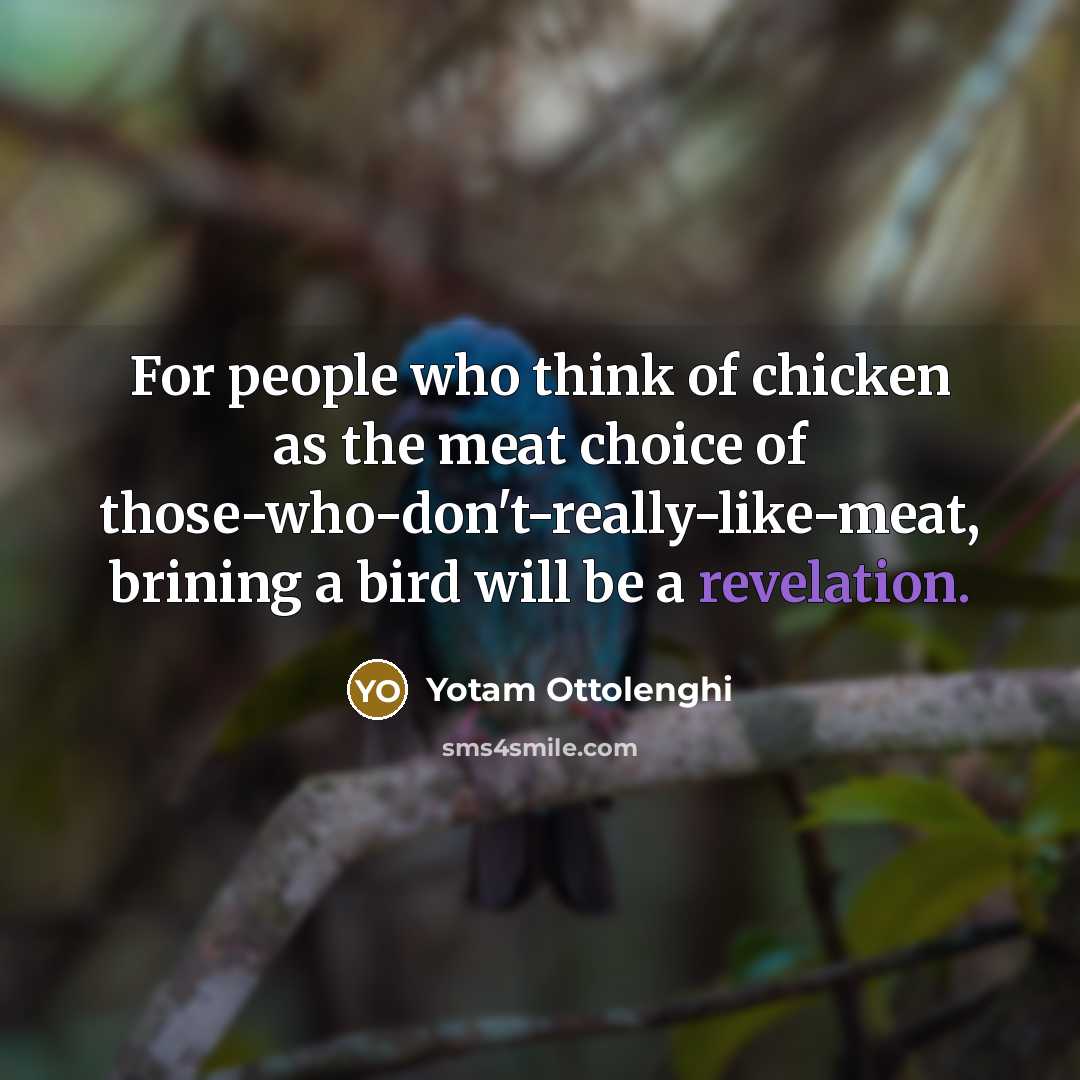 “For people who think of chicken as the meat choice…” quote by Yotam Ottolenghi