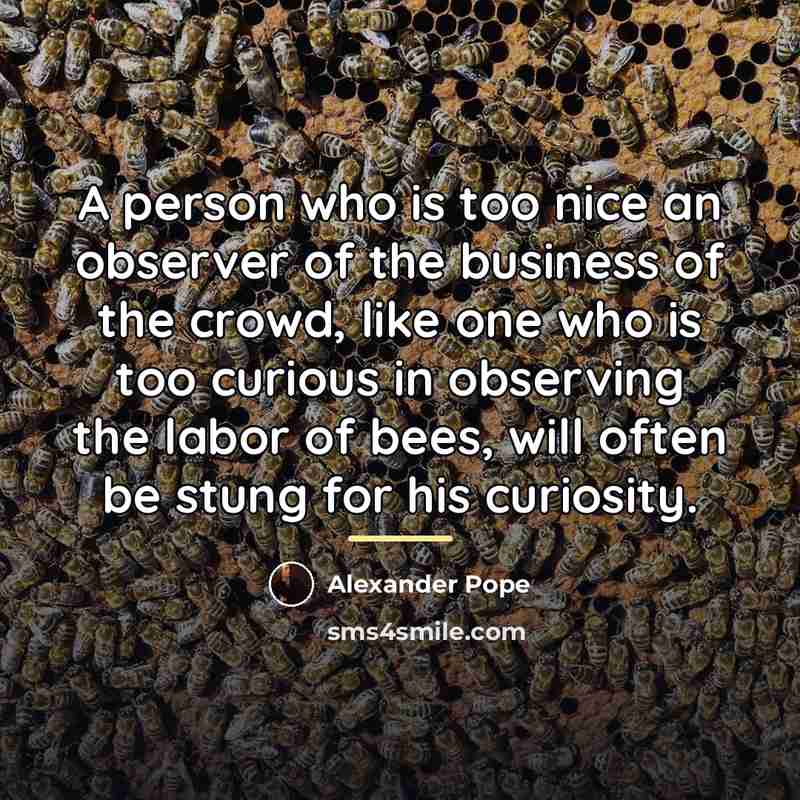 “A person who is too nice an observer of the…” quote by Alexander Pope
