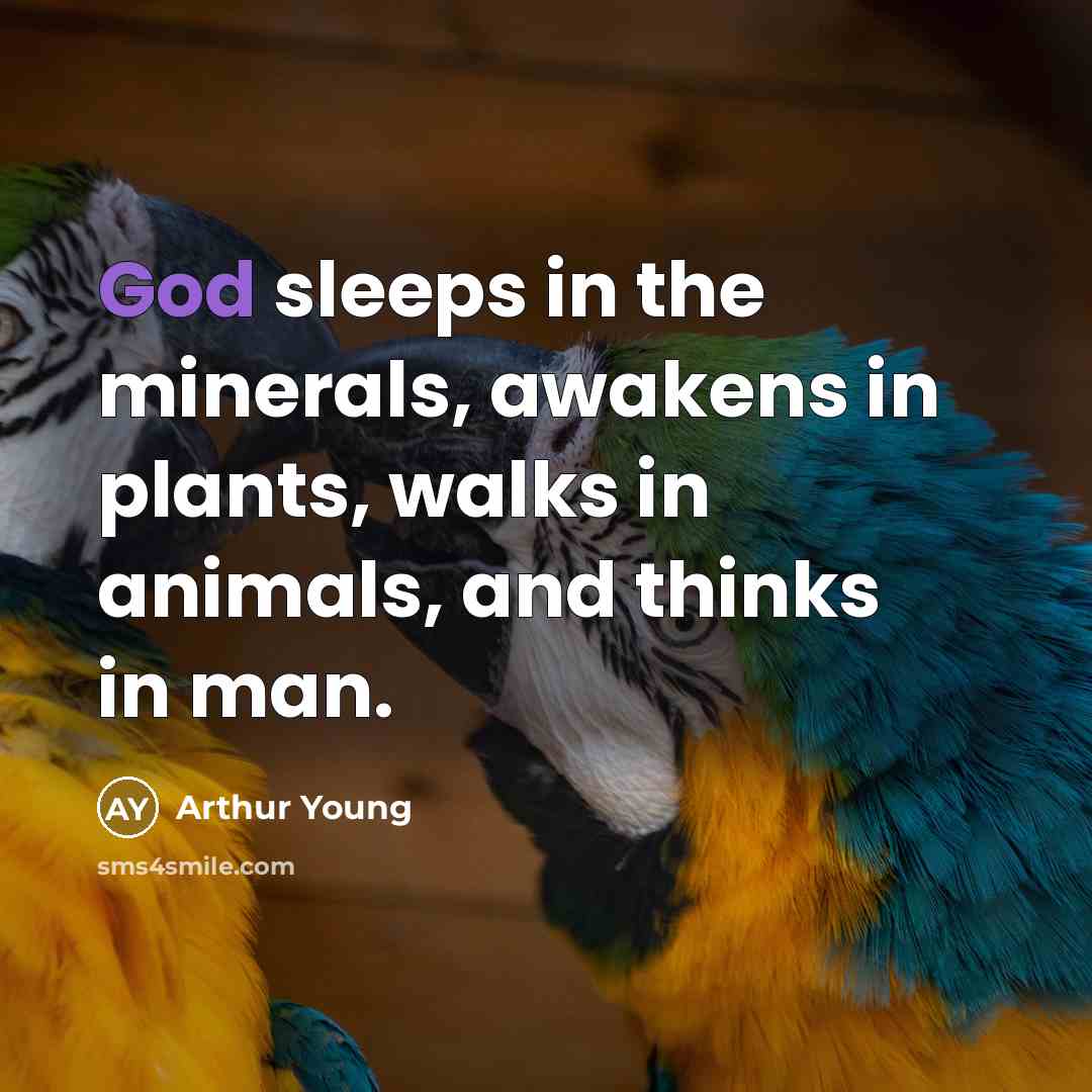 “God sleeps in the minerals, awakens in plants, walks in…” quote by Arthur Young