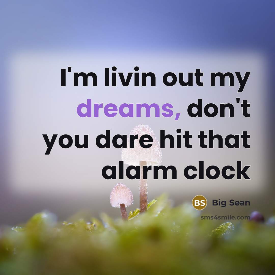 “I'm livin out my dreams, don't you dare hit that…” quote by Big Sean
