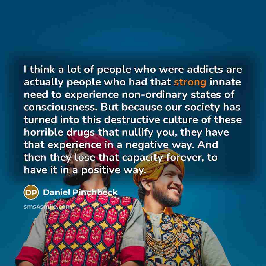“I think a lot of people who were addicts are…” quote by Daniel Pinchbeck