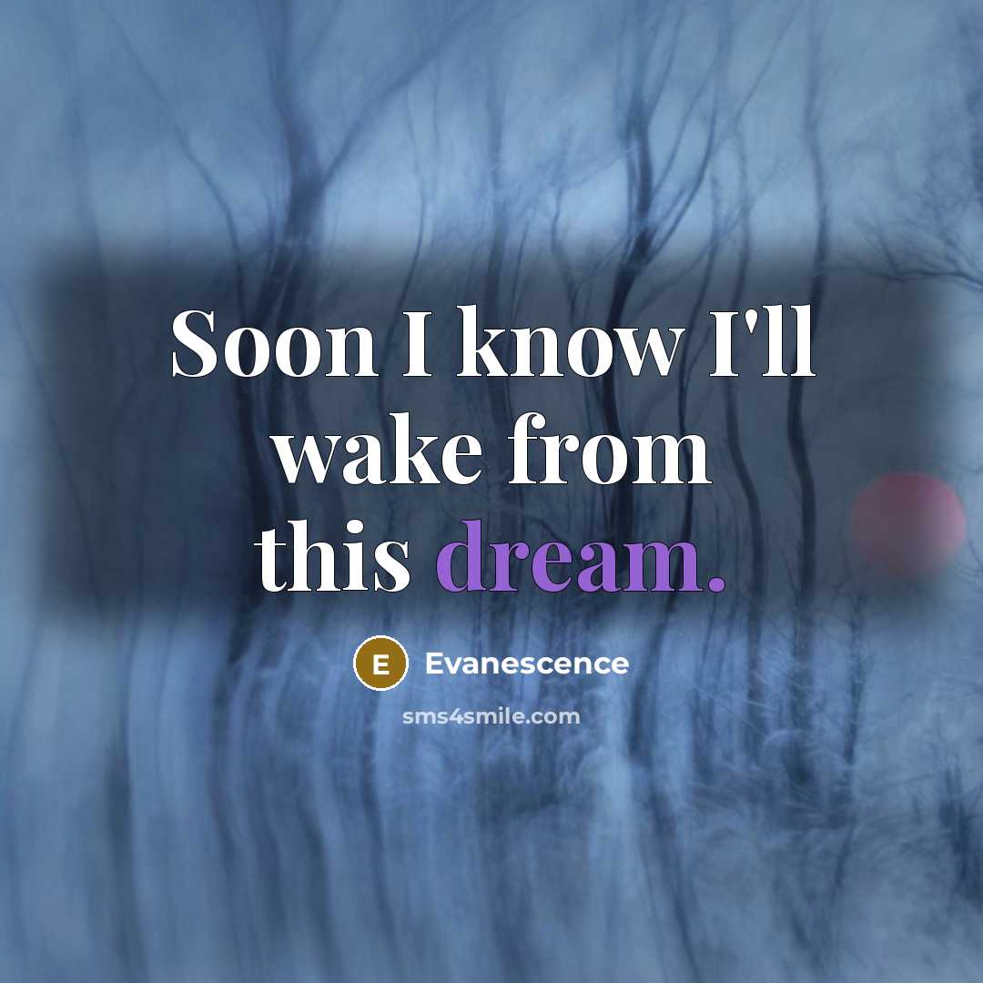 “Soon I know I'll wake from this dream.” quote by Evanescence