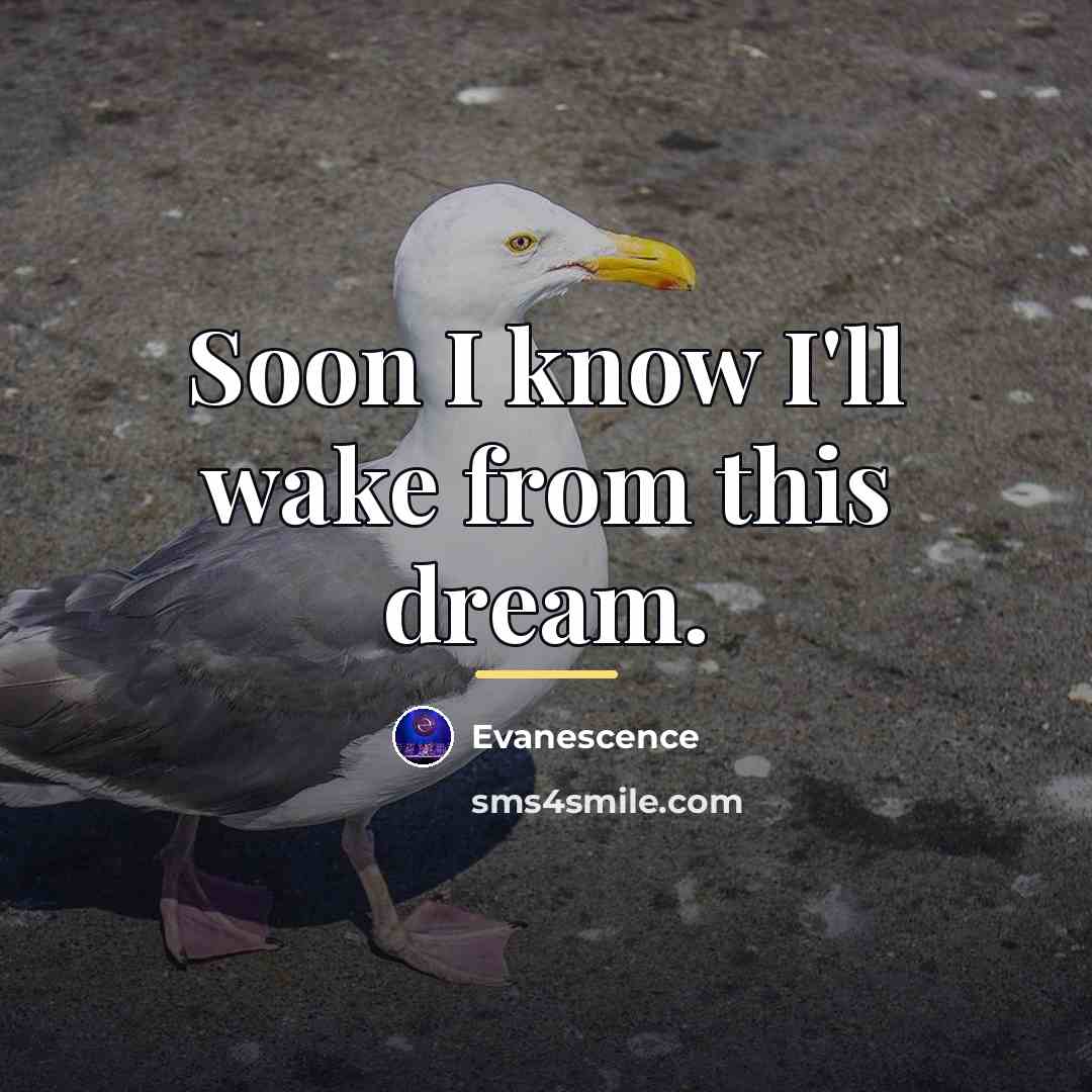 “Soon I know I'll wake from this dream.…” quote by Evanescence