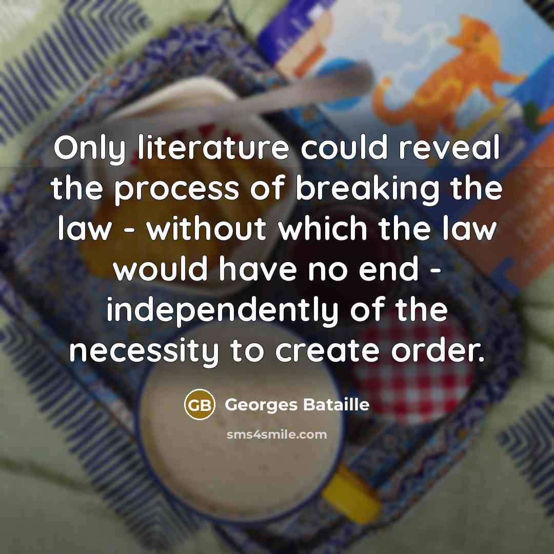 “Only literature could reveal the process of breaking the law…” quote by Georges Bataille
