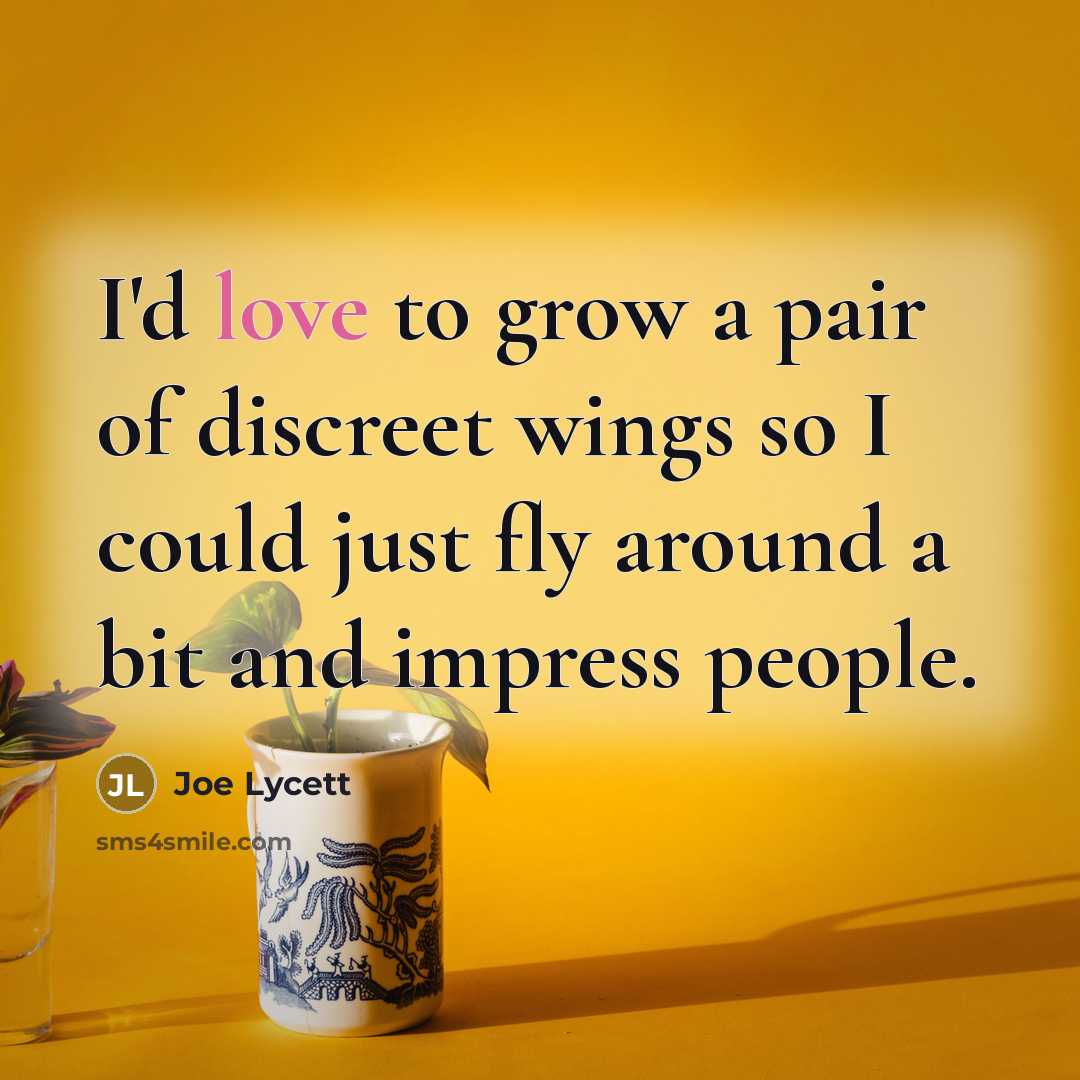 “I'd love to grow a pair of discreet wings so…” quote by Joe Lycett